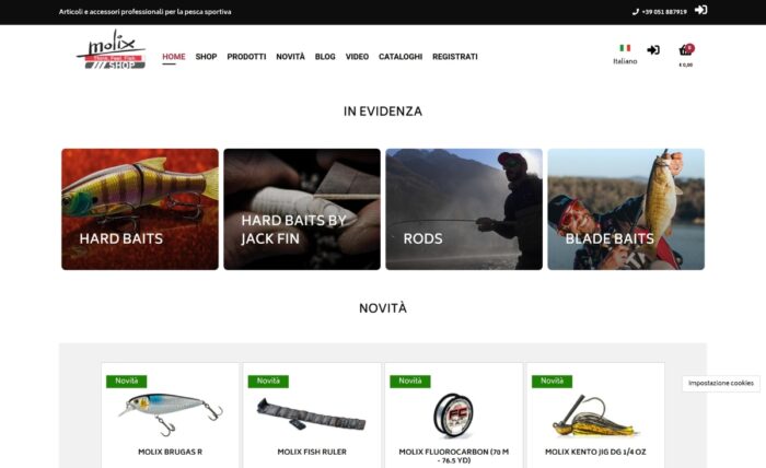 portfolio-molix-shop-b2c-b2b